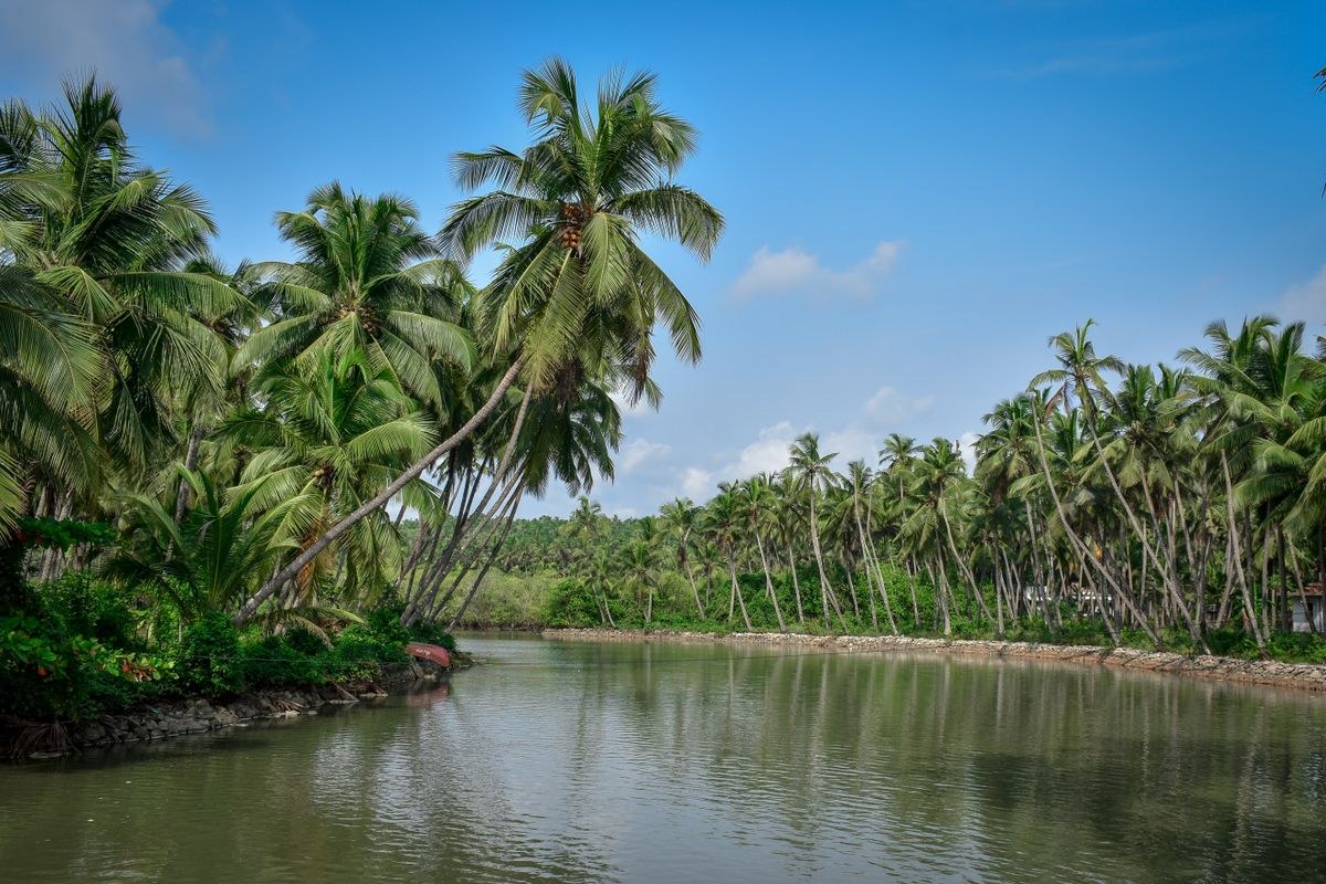 Kochi